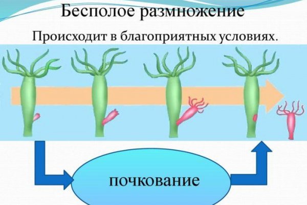 Кракен как зайти через тор браузер